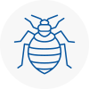 Bed Bug Extermination In Wooler